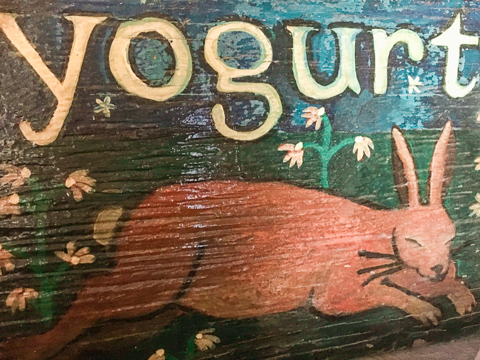 Yogurt sign with rabbit