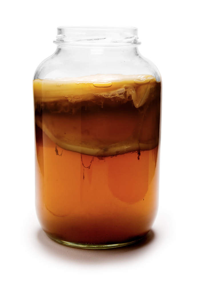 Kombucha Brew Tea in a glass jar